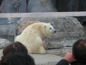 Hudson's B'Day Party 122 (2)