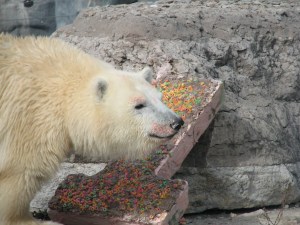 Hudson's B'Day Party 176 (2)