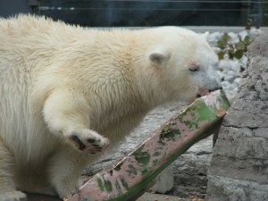 Hudson's B'Day Party 261 (2)