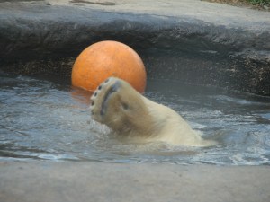 July 2012 - Zoo 321 (2)