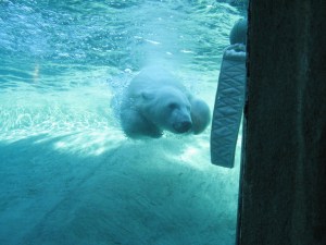 October 2012 007 (2)