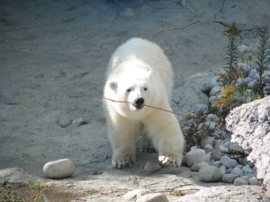 October 2012 296 (2)