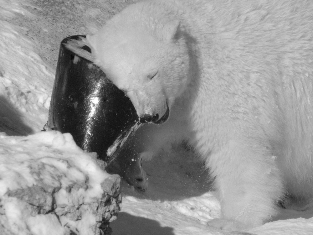 Hudson's Last Day January 2013 029 (2)