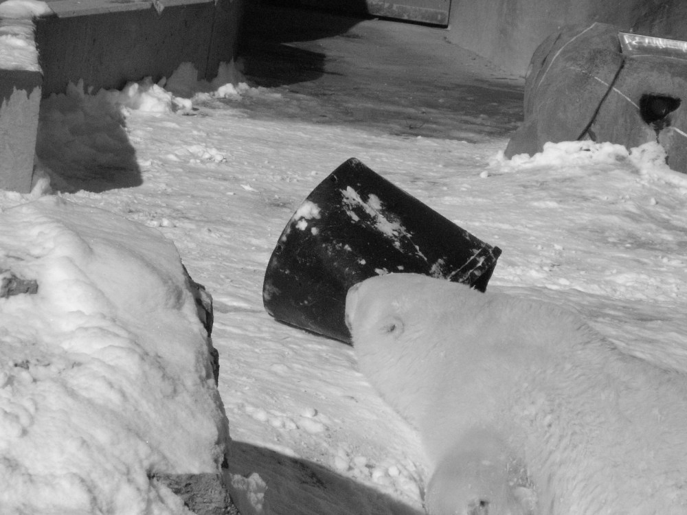 Hudson's Last Day January 2013 031 (2)