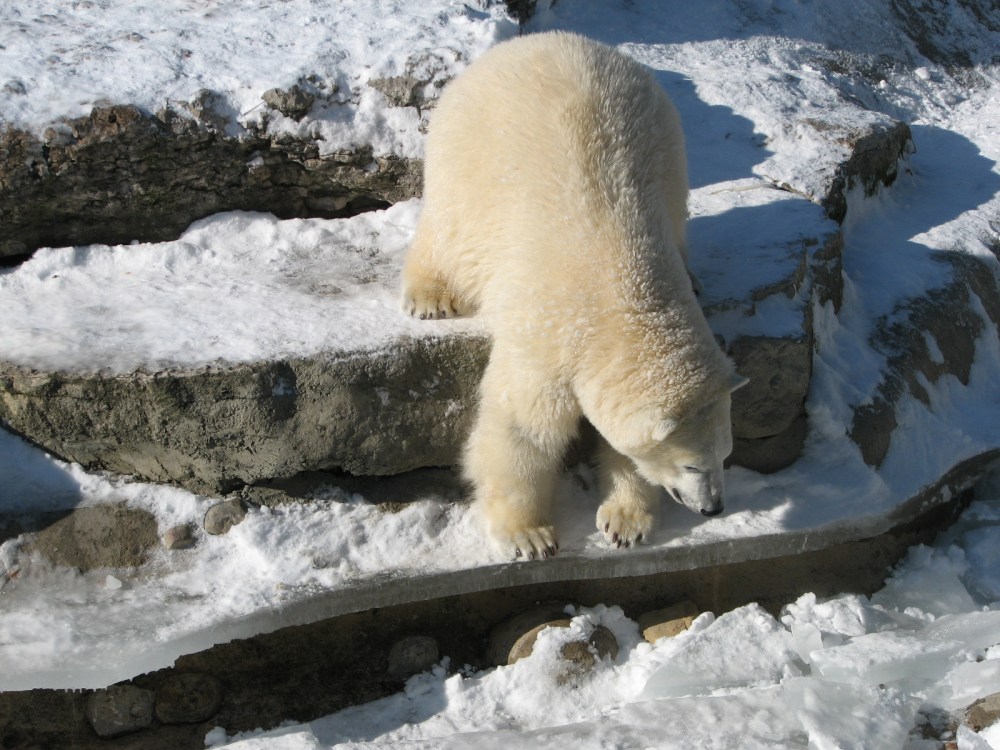 Hudson's Last Day January 2013 098 (2)