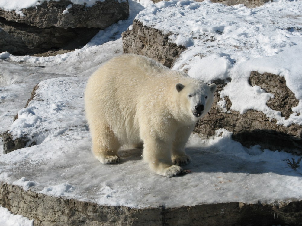 Hudson's Last Day January 2013 101 (2)