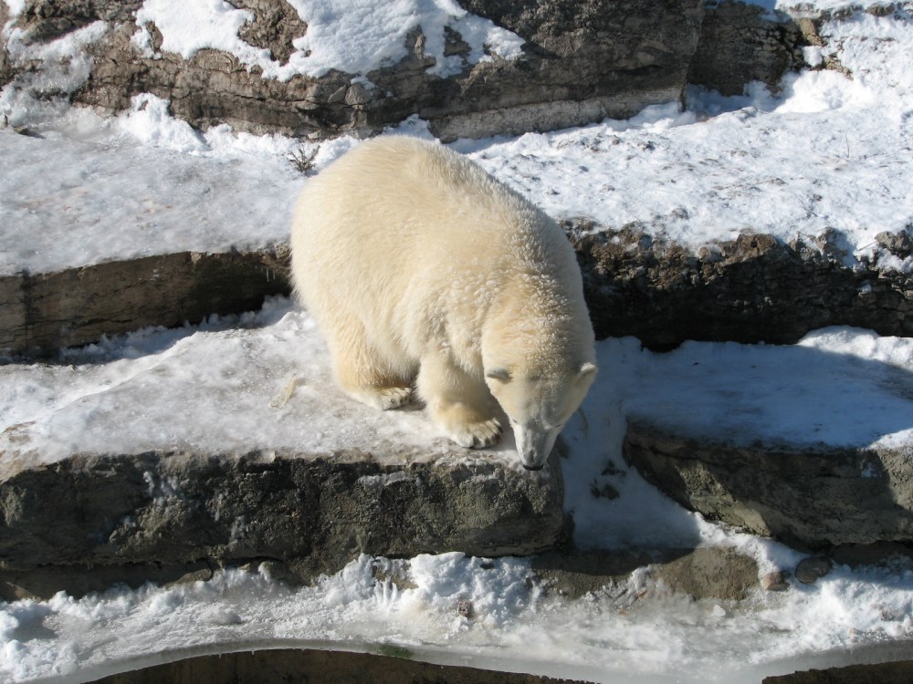 Hudson's Last Day January 2013 103 (2)