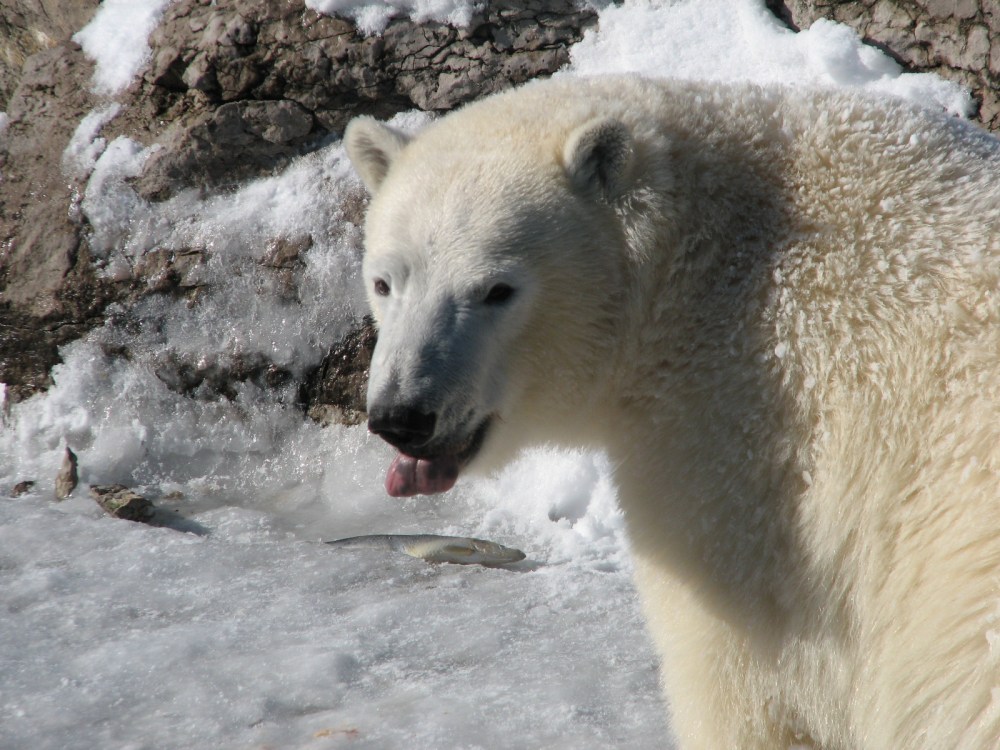 Hudson's Last Day January 2013 104 (2)