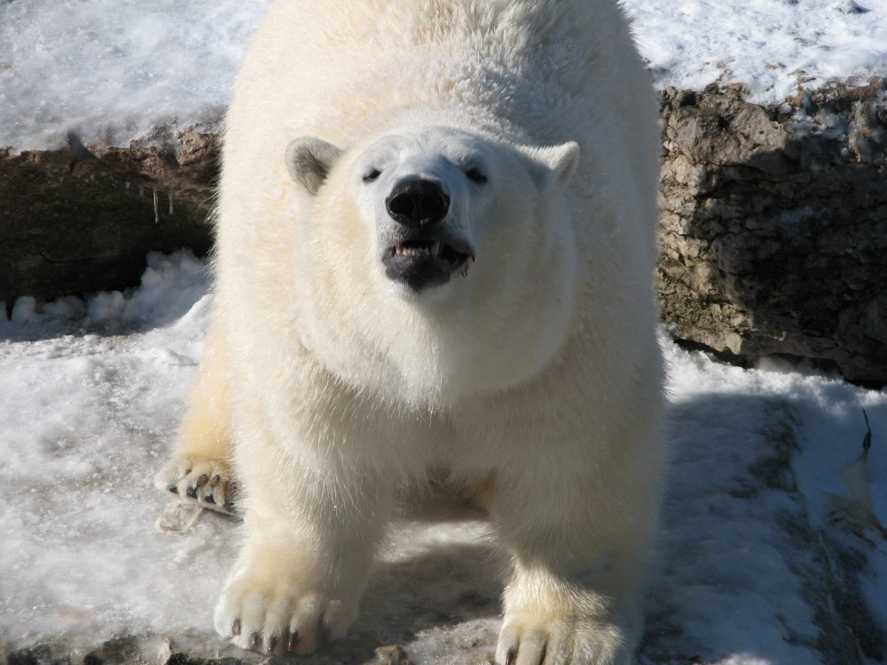 Hudson's Last Day January 2013 107 (2)