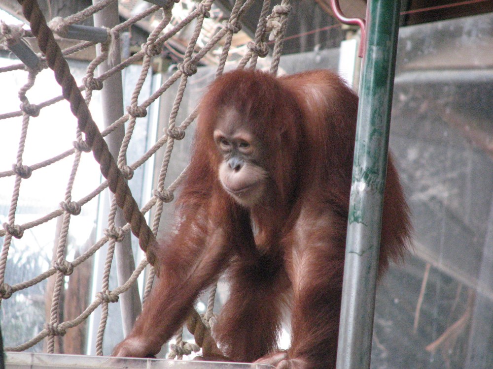 Hudson's Last Day January 2013 113 (2)