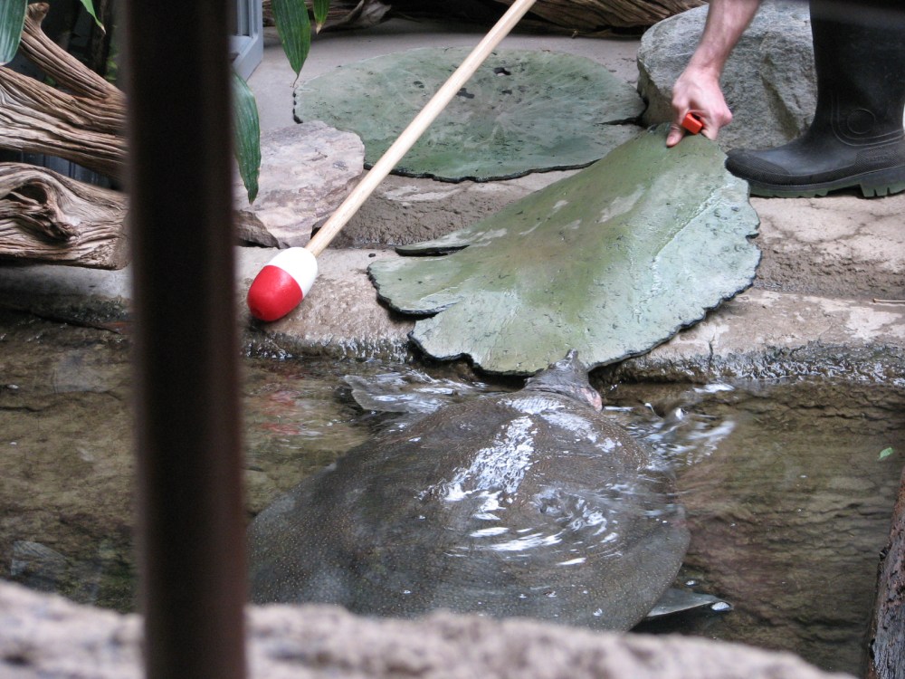 Hudson's Last Day January 2013 160 (2)