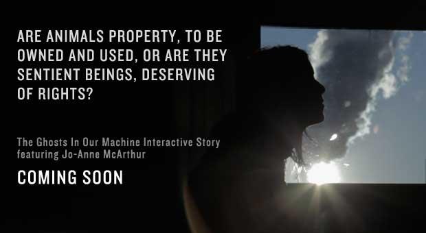 525440_453630881382285_994223150_n