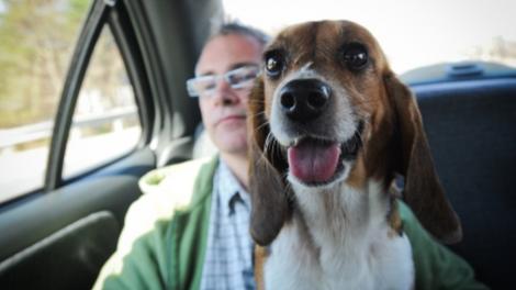 The_Ghosts_in_our_Machine_1_470x264