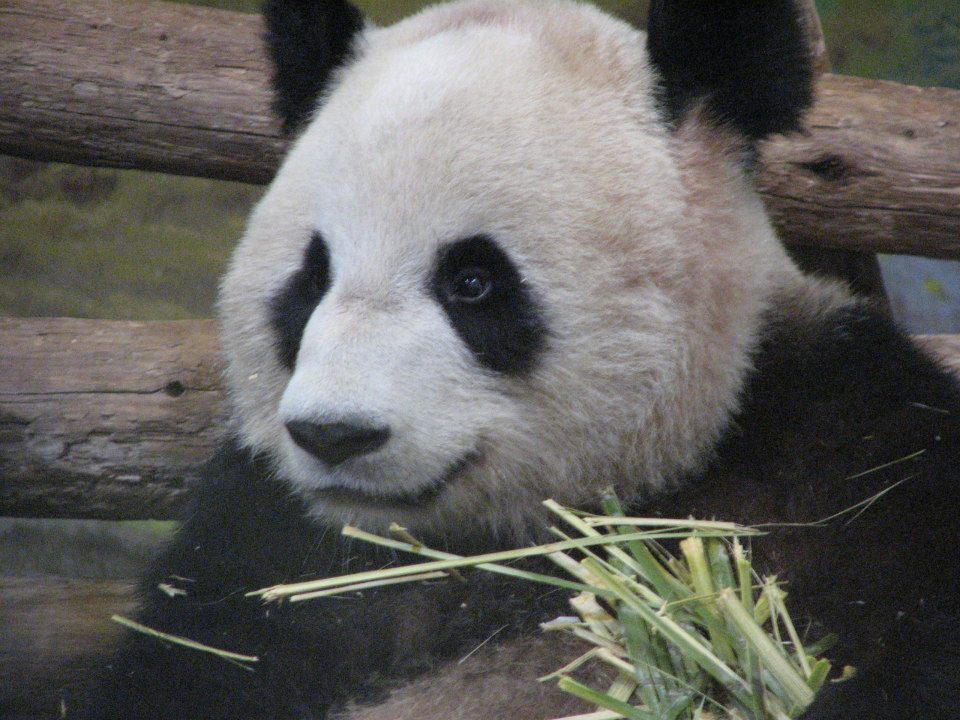 13506_10152840135045402_146080569_n