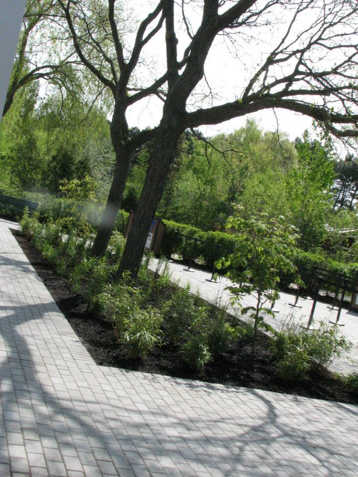 253237_10152840132100402_1425624687_n