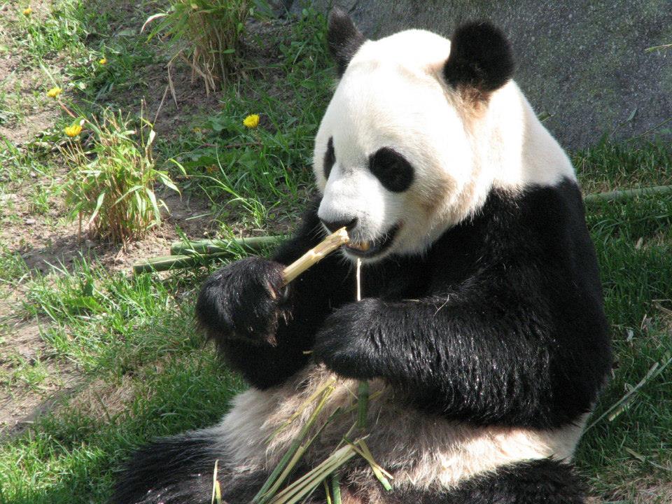 310229_10152840157465402_1881105132_n