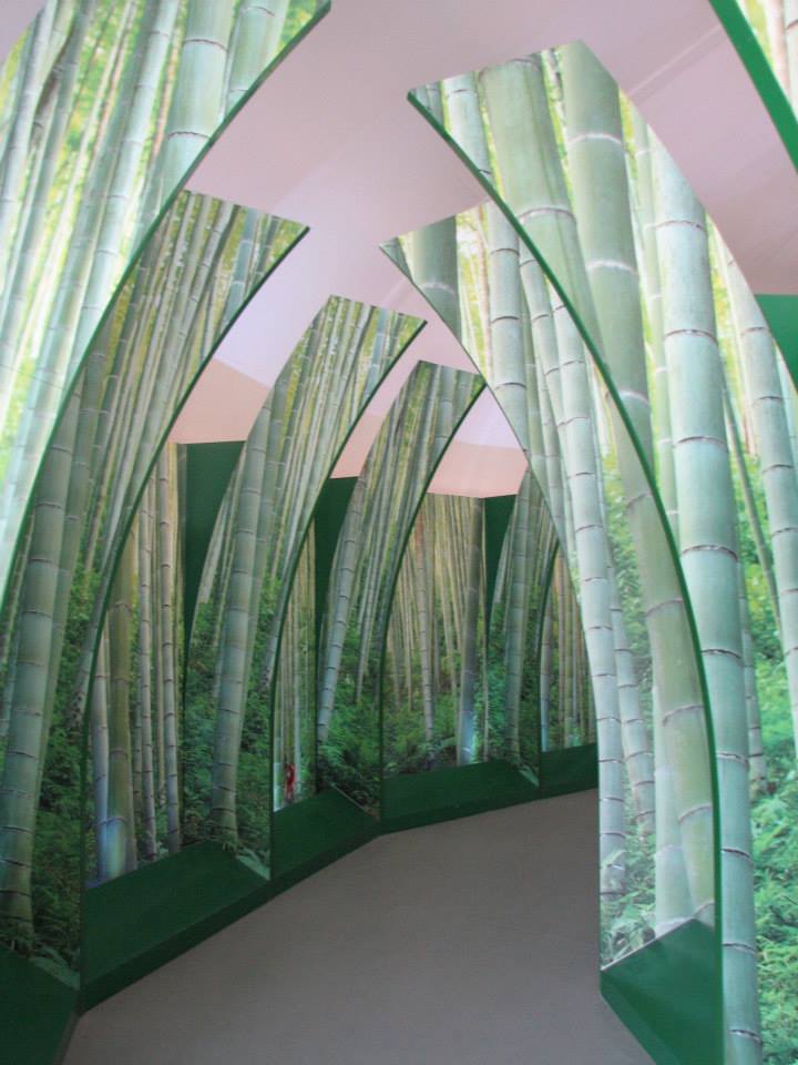 400665_10152841253765402_602124001_n