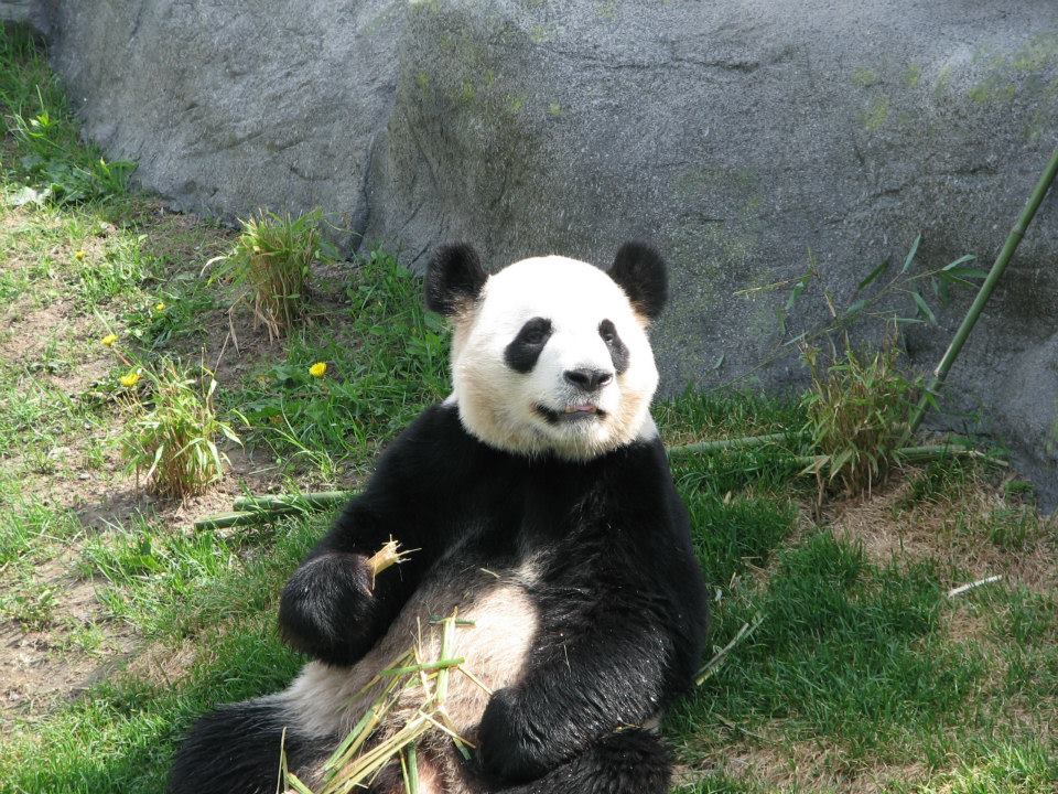 541635_10152840159670402_2012290934_n