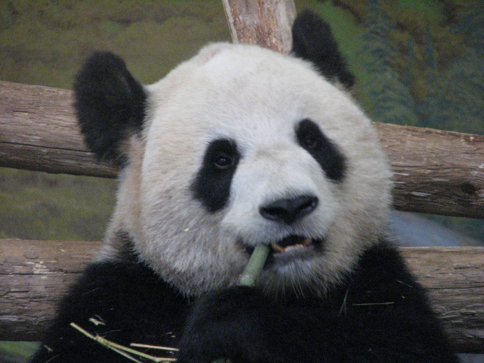 941149_10152840144665402_209722572_n