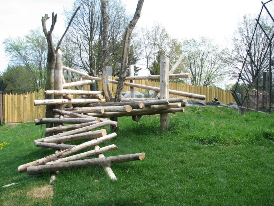 945044_10152841271995402_1247835463_n