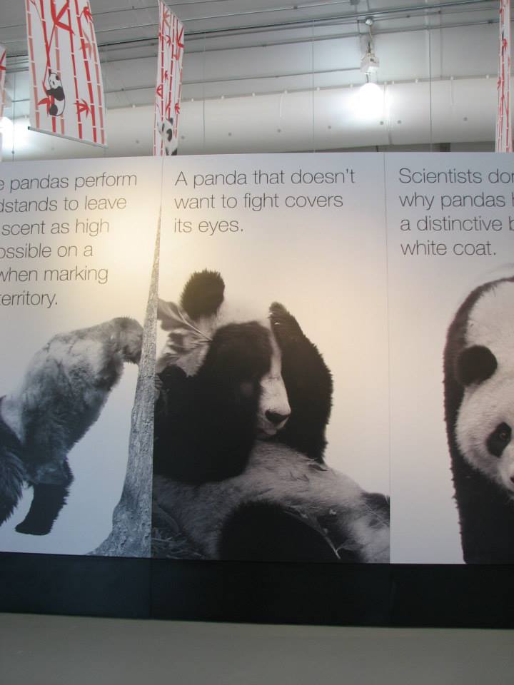 Anything that still wants to pick a fight with a panda who has covered its eyes - just doesn't have a soul.