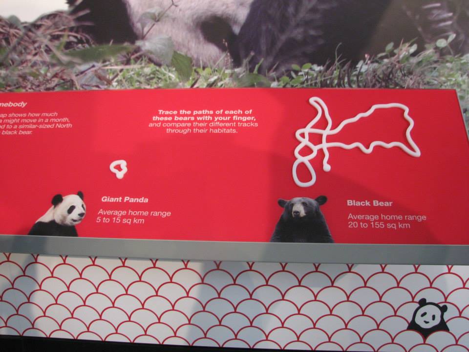 969153_10152840132720402_1208530243_n