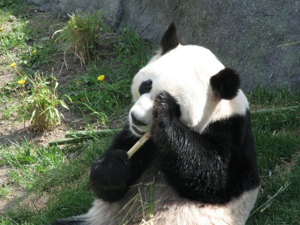 971893_10152840158410402_1315689714_n