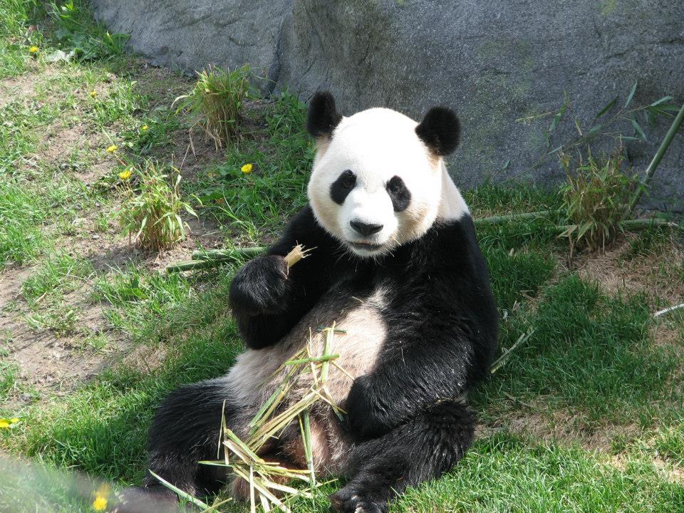 972260_10152840159365402_758822281_n