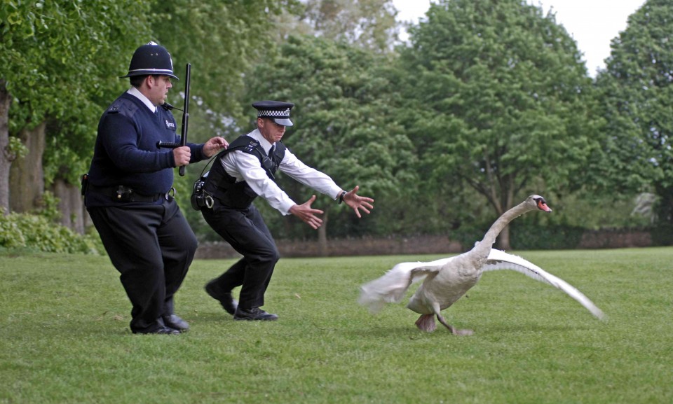 A-scene-from-Rogue-Pictures-Hot-Fuzz-2007-3-960x577