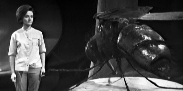 doctor-who-planet-of-giants-susan-jacqueline-hill-giant-fly-600x300