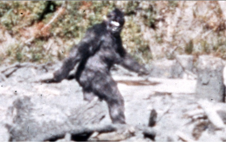 bigfoot