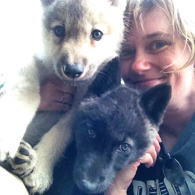 11263675_10155674213320402_1342198385_n