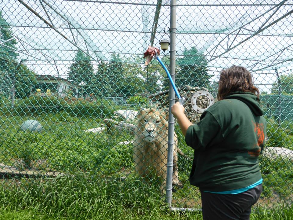 11391778_10155678067330402_2656818655119444040_n