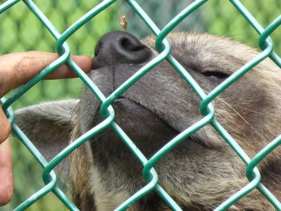 11412198_10155678067680402_7847666423251902285_n