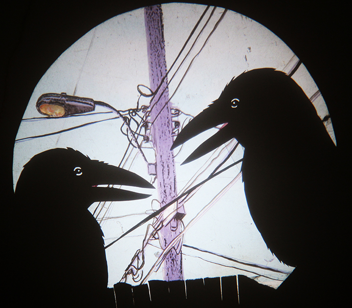 caws-effect-crow-chat-web_credit-Mind-of-a-Snail