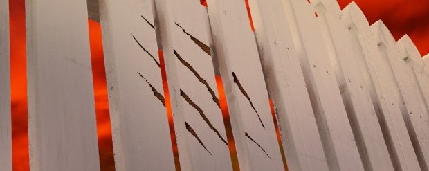 Wayward-jacket-e1378656906982-620x247