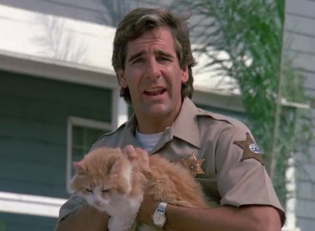 quantumleaphurricane03