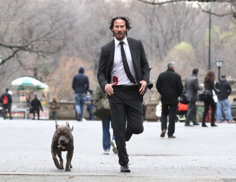 onthesetofjohnwick2azb5nrq6a-dx