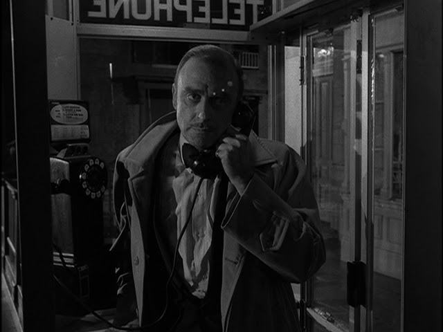 The Jungle Phone Booth