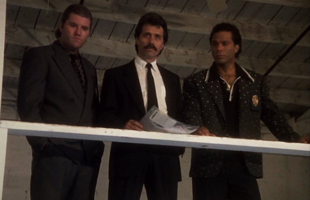 viceswitekcastillotubbs