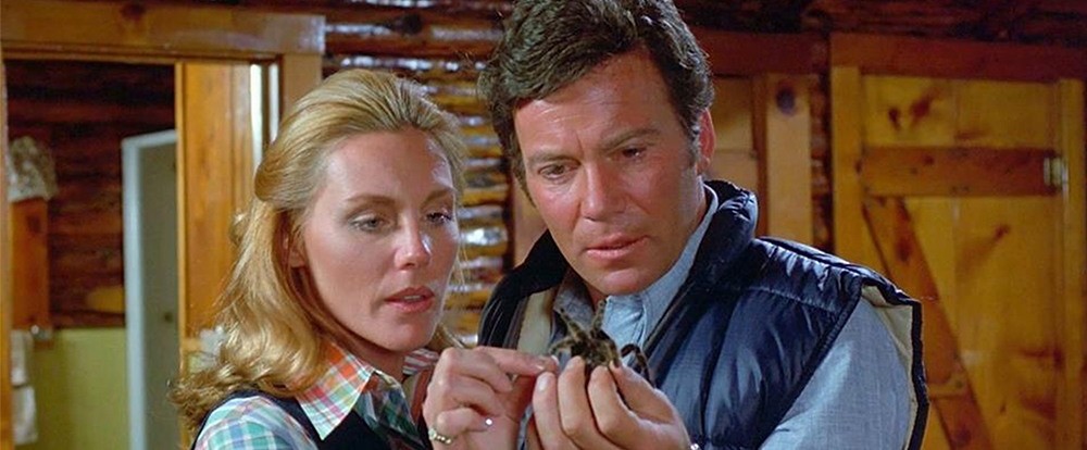 HERO_KingdomofSpiders